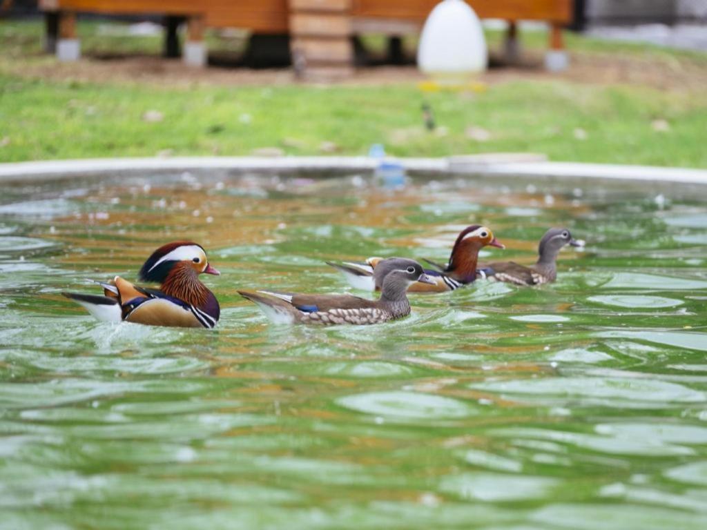 Baan Souchada Resort & Spa Sara Buri Eksteriør bilde